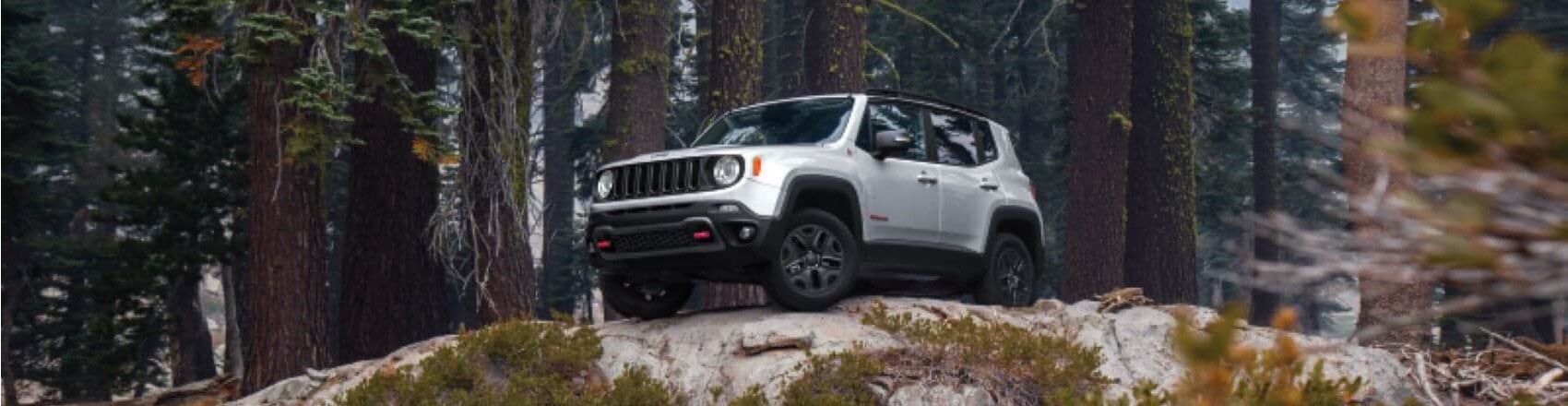 Jeep Renegade White Snipped