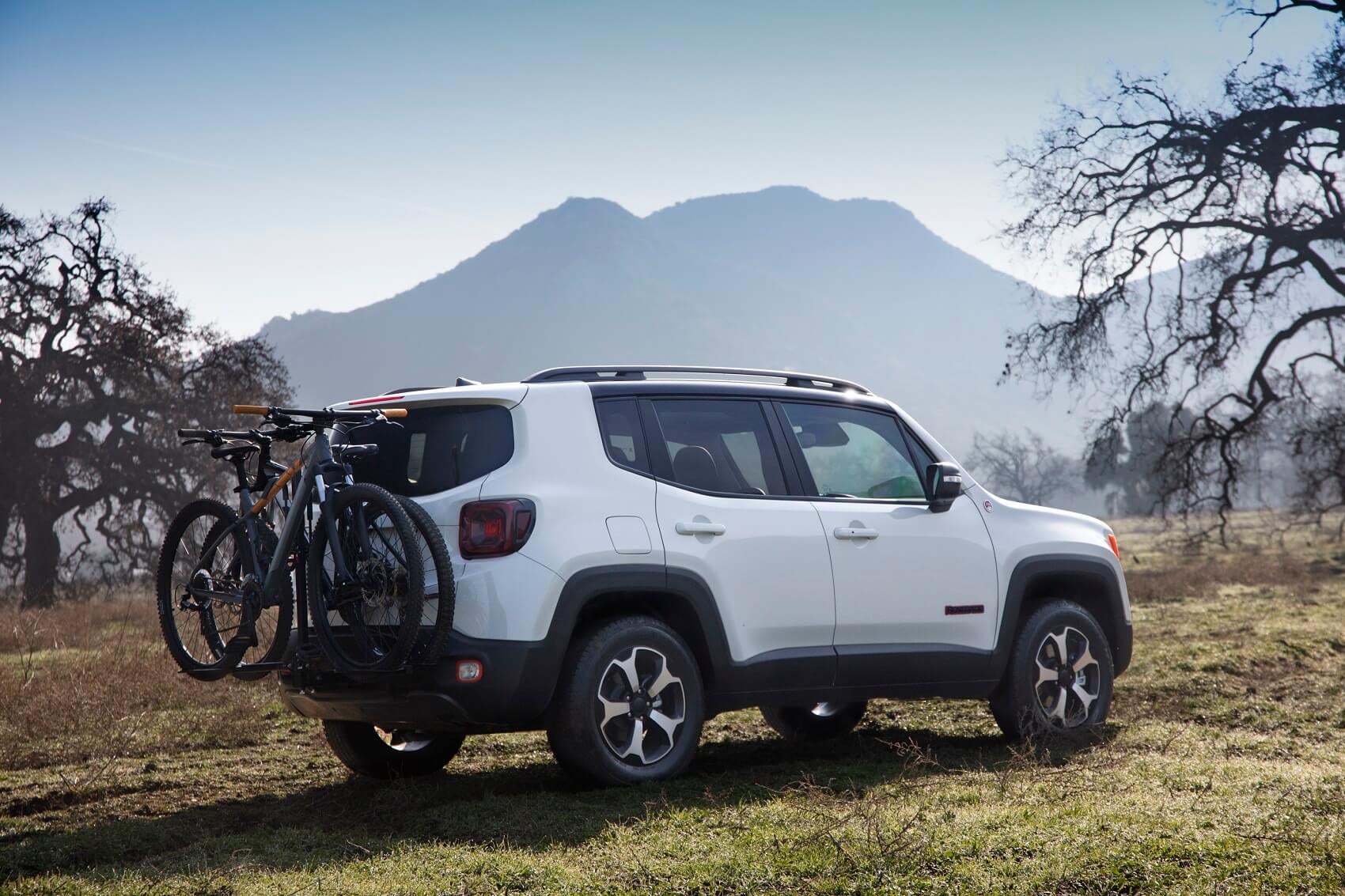 Jeep Renegade in White with Cargo