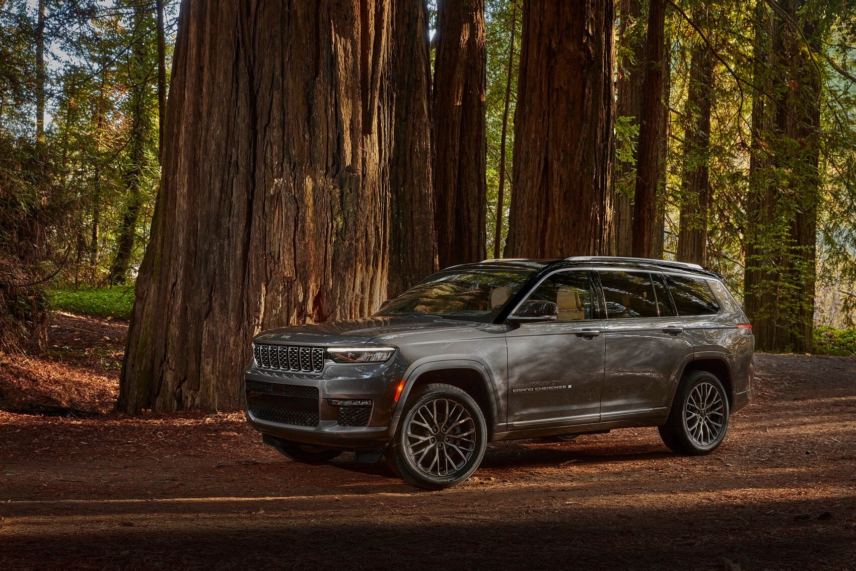 Jeep Grand Cherokee L in the Forest Side