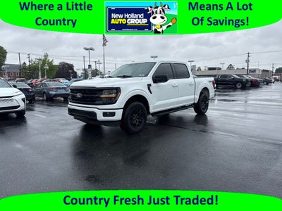 2025 Ford F-150 XLT