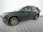 2023 Toyota RAV4 Hybrid Woodland Edition