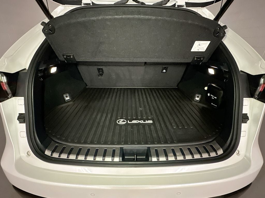 2020 Lexus NX 300 Base